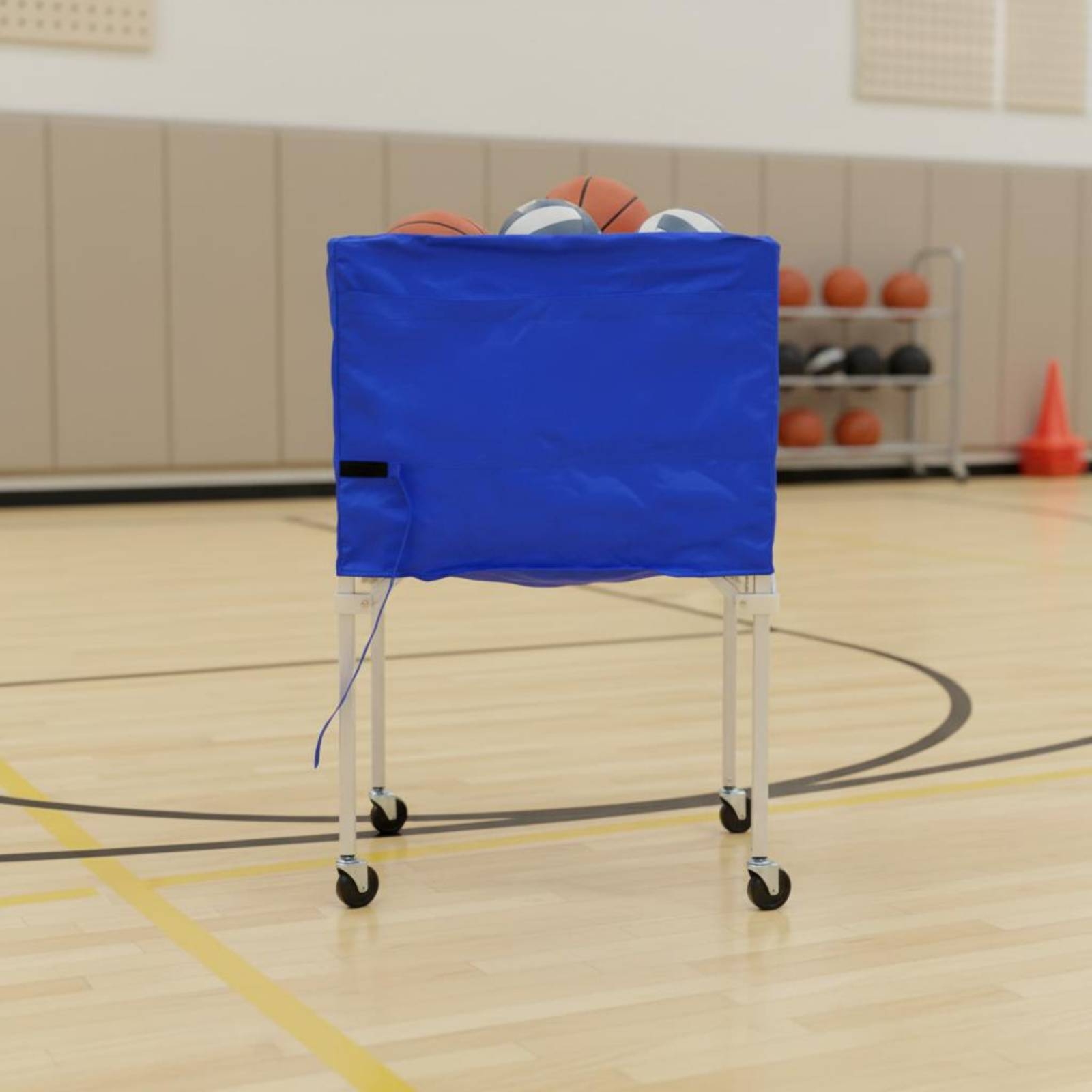 Foldable Ball Trolley Multi-Sp - đánh giá và giá Gym Ball