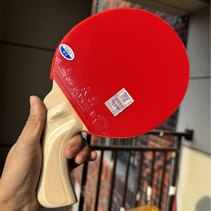 Peng Daoxiu Table Tennis Racke - đánh giá và giá Tennis Racket